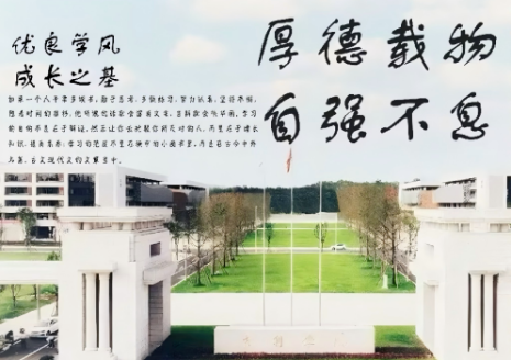 图片11.png